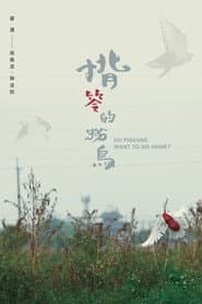 Do Pigeons Want to Go Home?