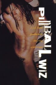 Pinball Wiz