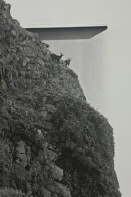 Orchid Island