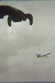 Flying