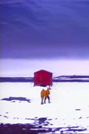 Winter Journey