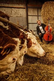 Where Music Grows