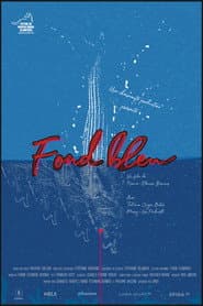 Fond bleu