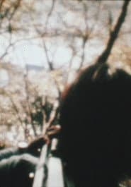 Cane