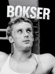 Boxer