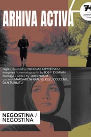 Negostina