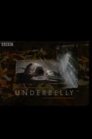 Underbelly
