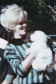 Tiffany Dog Show