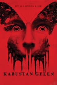 Before I Wake