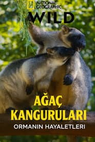 Tree Kangaroos: Ghosts of the Forest