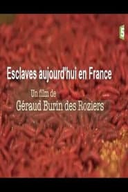 Esclaves aujourd'hui en France