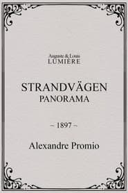 Strandvägen : panorama