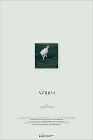 Nebbia