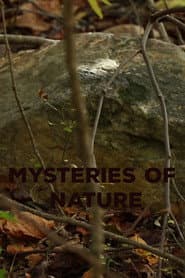 Mysteries of Nature