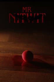 Mr Nitwit