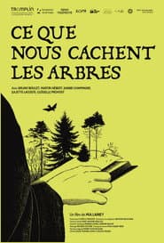 Ce que nous cachent les arbres