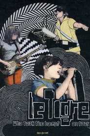 Who Took the Bomp? Le Tigre on Tour