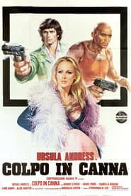 Loaded Guns