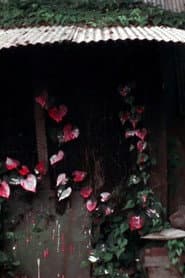 Shelter