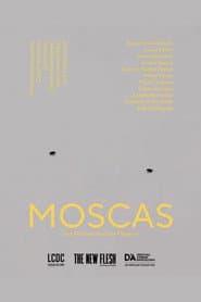 Moscas