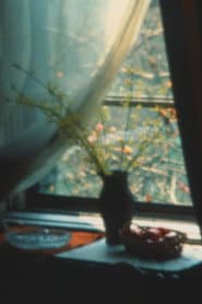 Super 8 Diary - 1985