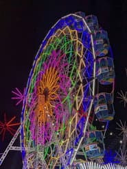 The Fair