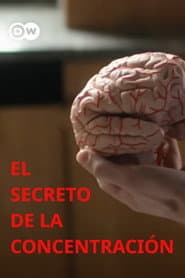 The secret of concentration