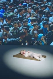 Kitten Or Refugee?