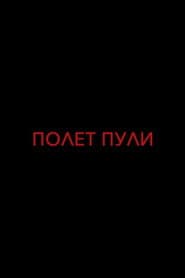 Flight of a Bullet