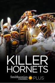 Killer Hornets