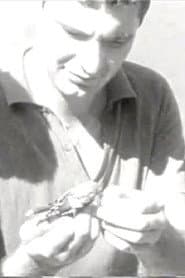 Ozhelanda