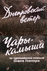 The Dnipro Wind. Enchanted Reeds