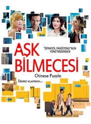 Chinese Puzzle