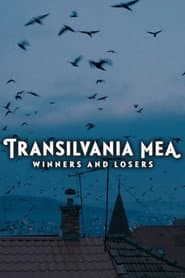 Transilvania Mea - Von Gewinnern und Verlierern