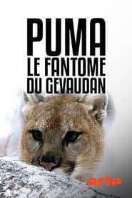 Cougar: On the Trail of the Ghost Cat