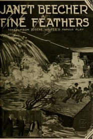 Fine Feathers