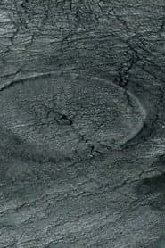 Whirlpool