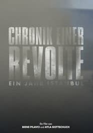 Chronicle of a Revolt: One Year Istanbul