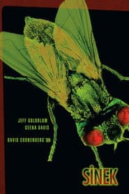 The Fly