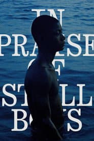 In Praise of Still Boys