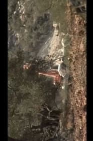 Interrupted Streams