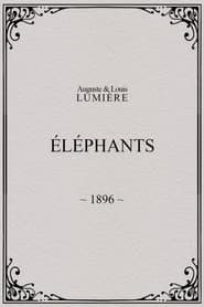 Elephants