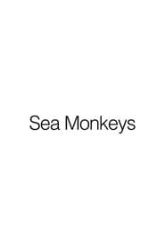 Sea Monkeys