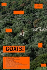 Goats!