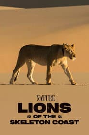 Lions of the Skeleton Coast