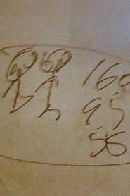 Yangtze Scribbler