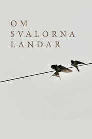 Om svalorna landar