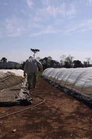 Travessias em Busca da Agroecologia