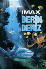 Deep Sea 3D