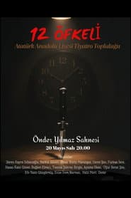 12 Kızgın